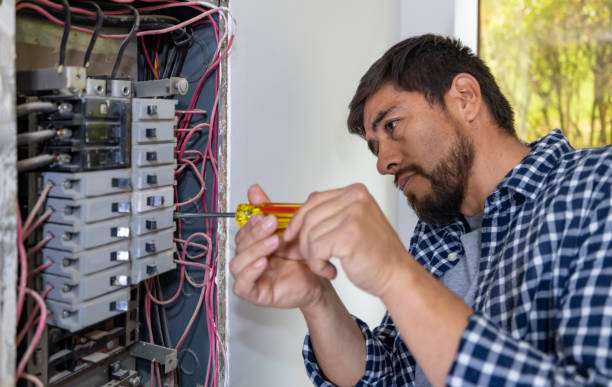 Best Electrical Troubleshooting Services  in Badieville, LA